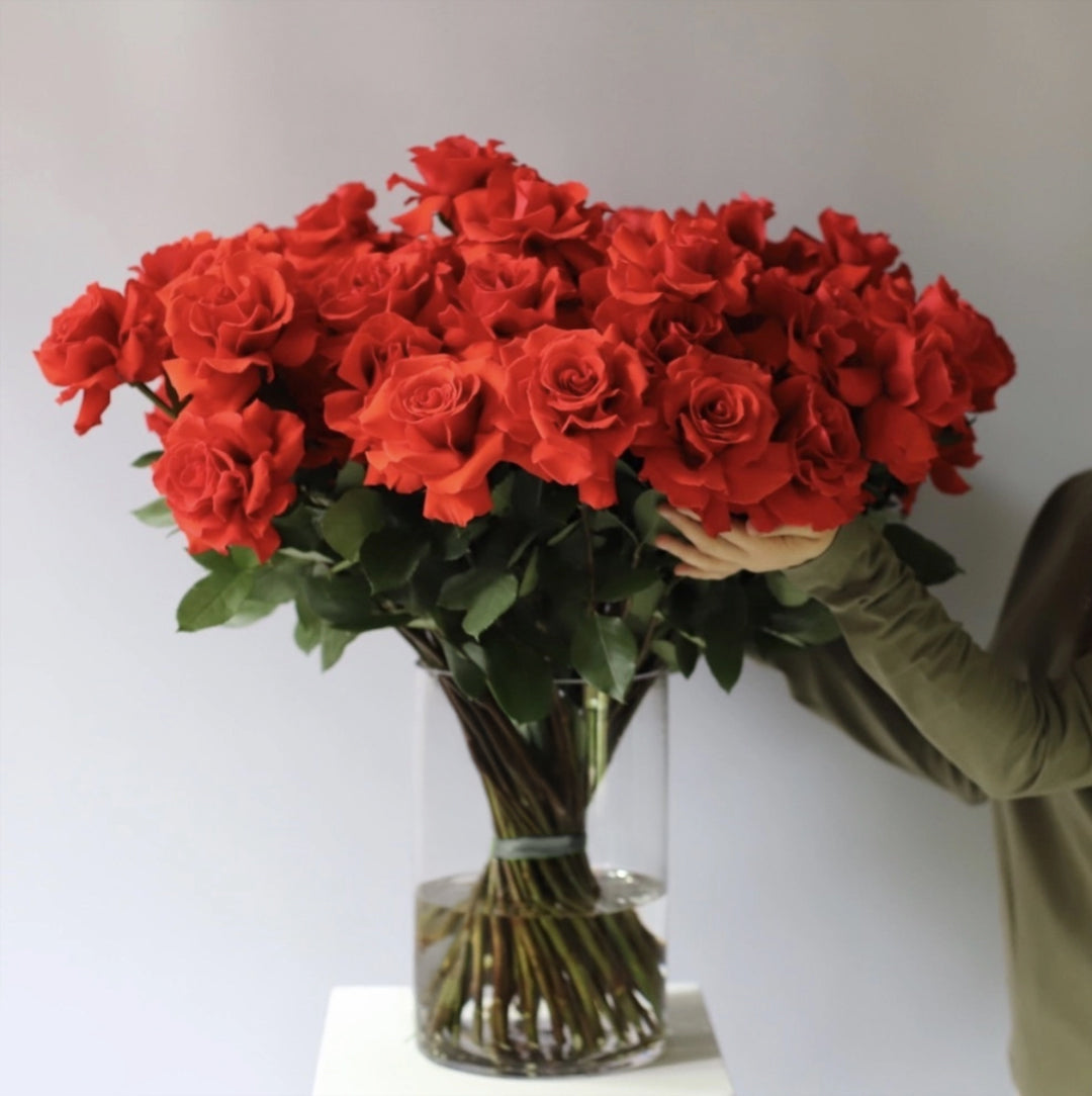 50 Scarlet Roses in a Vase