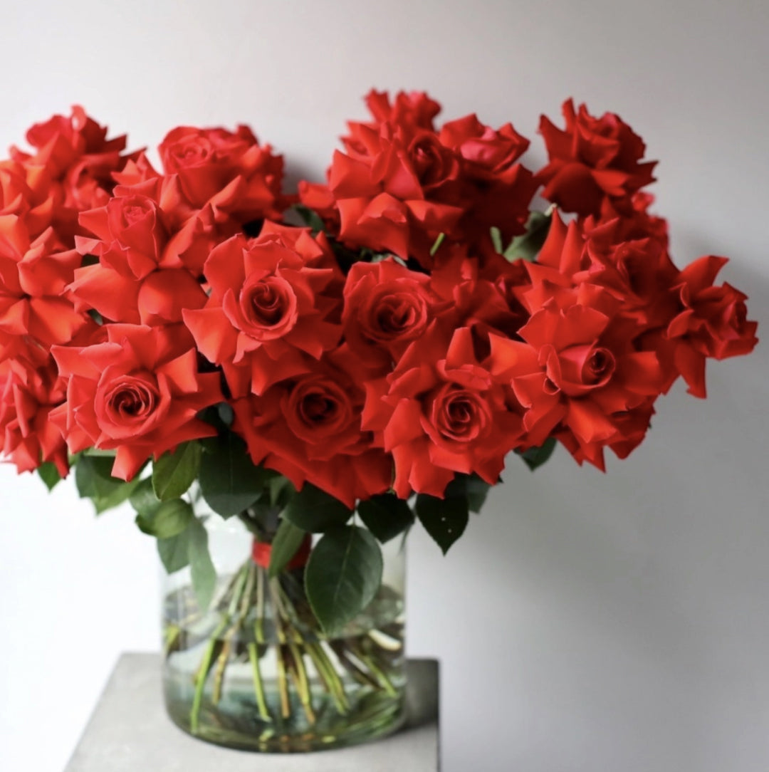 50 Scarlet Roses in a Vase