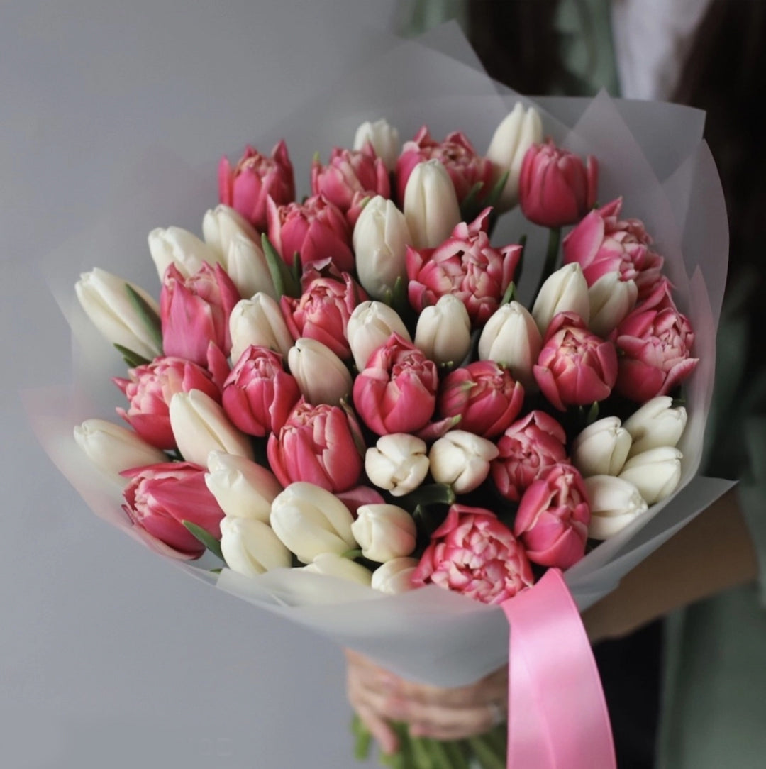 Spring Tulips