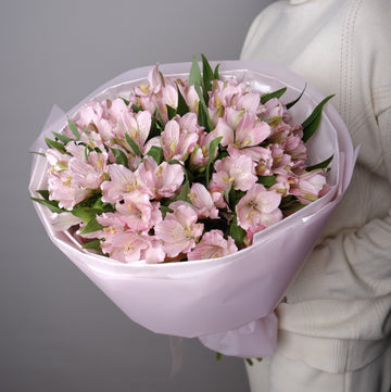 Blush Alstroemeria