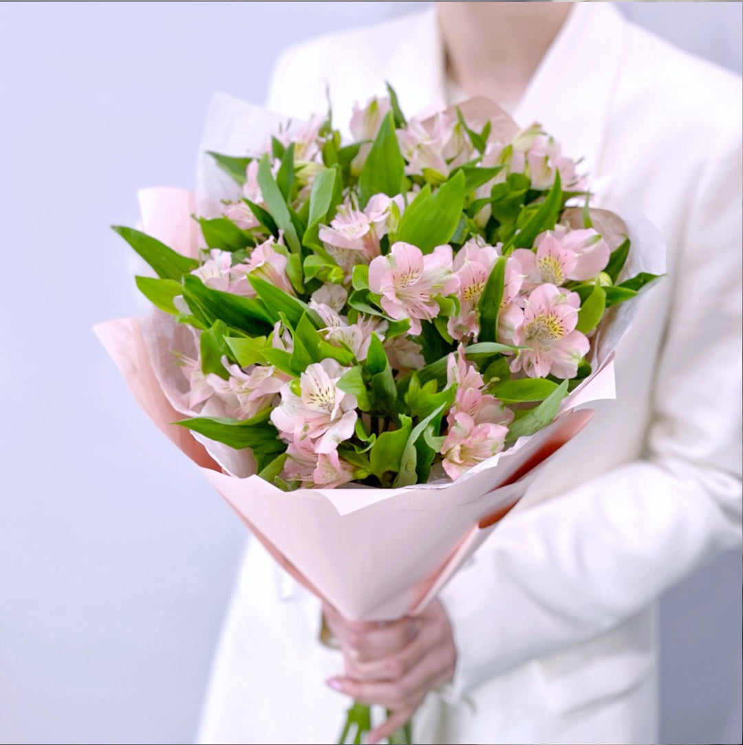 Blush Alstroemeria