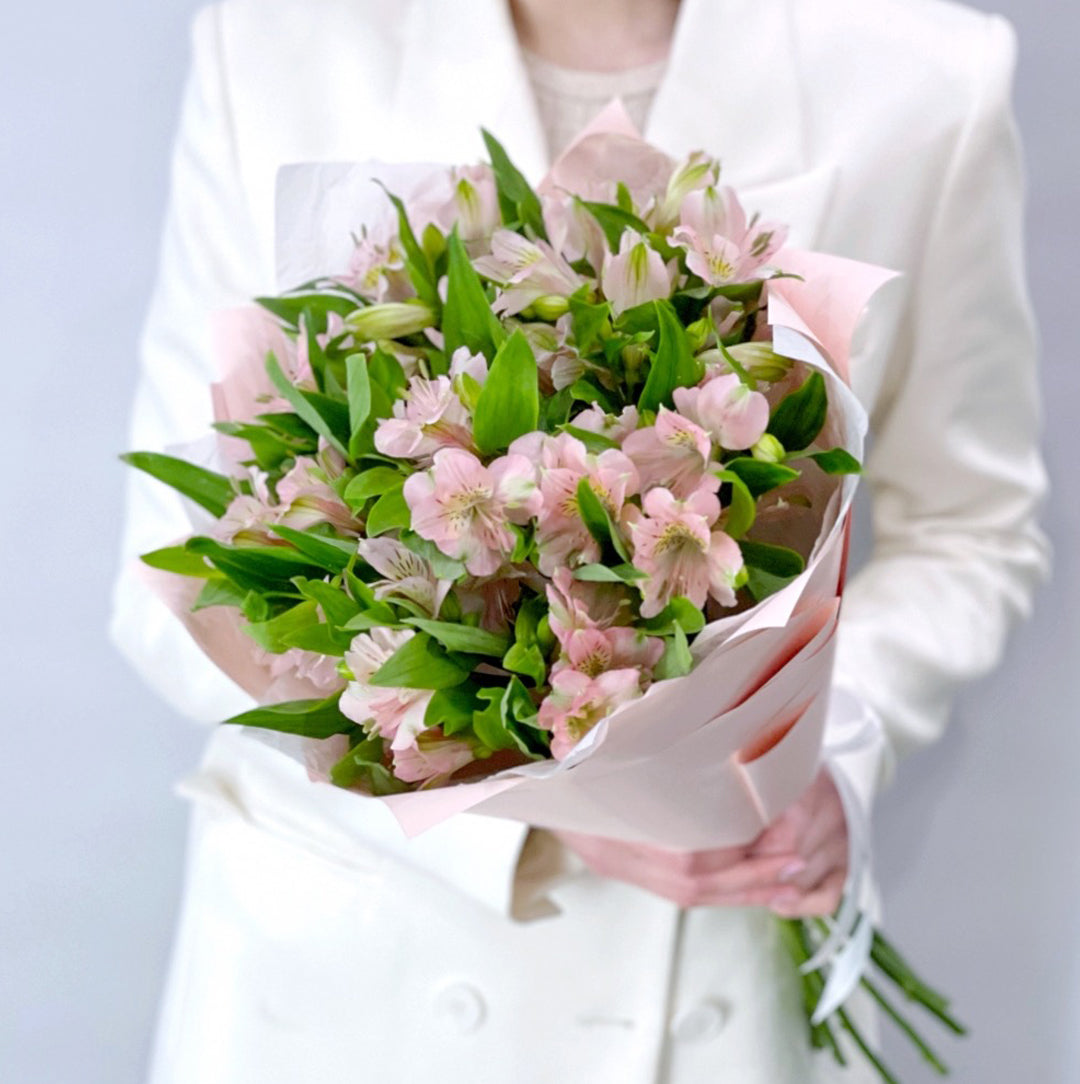 Blush Alstroemeria