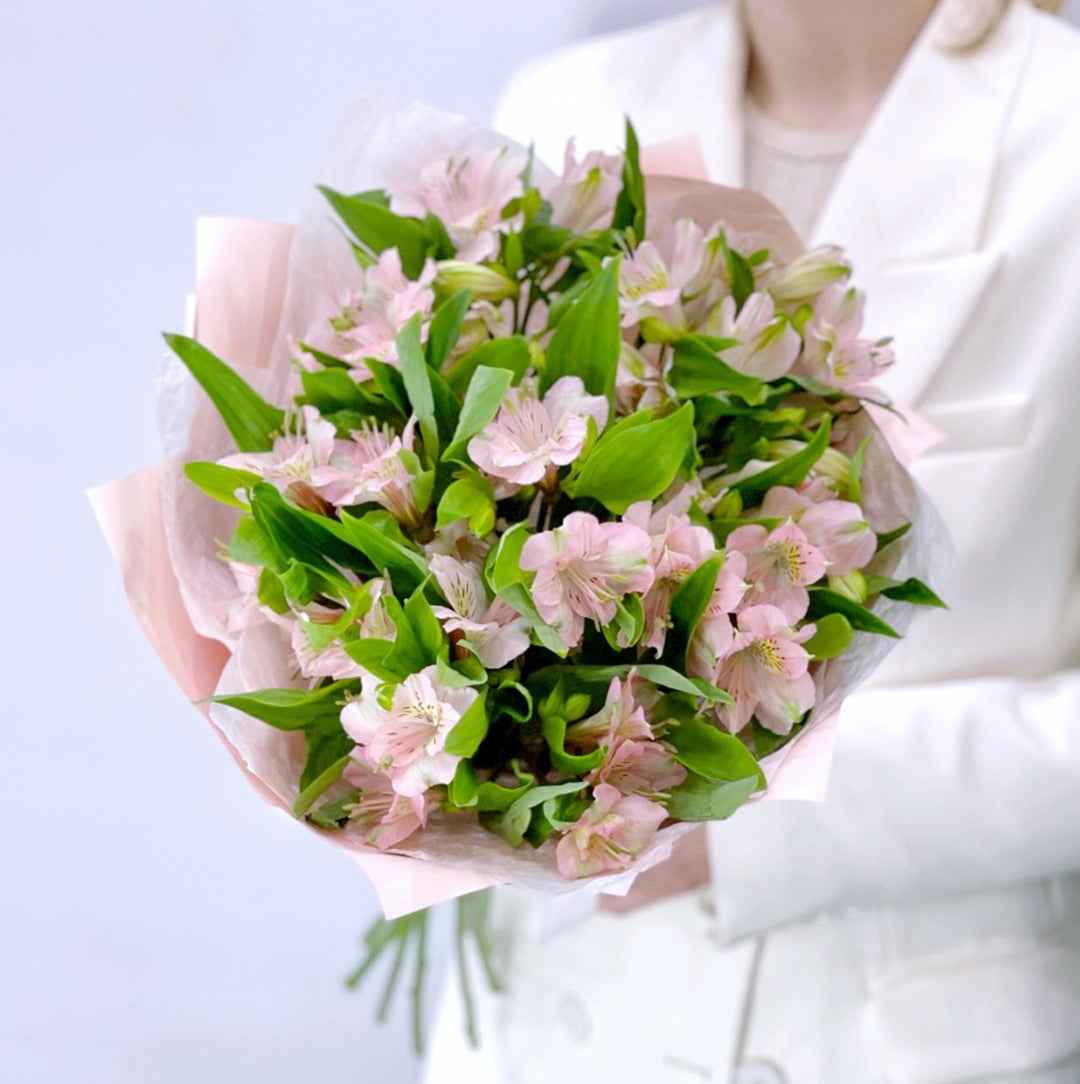 Blush Alstroemeria