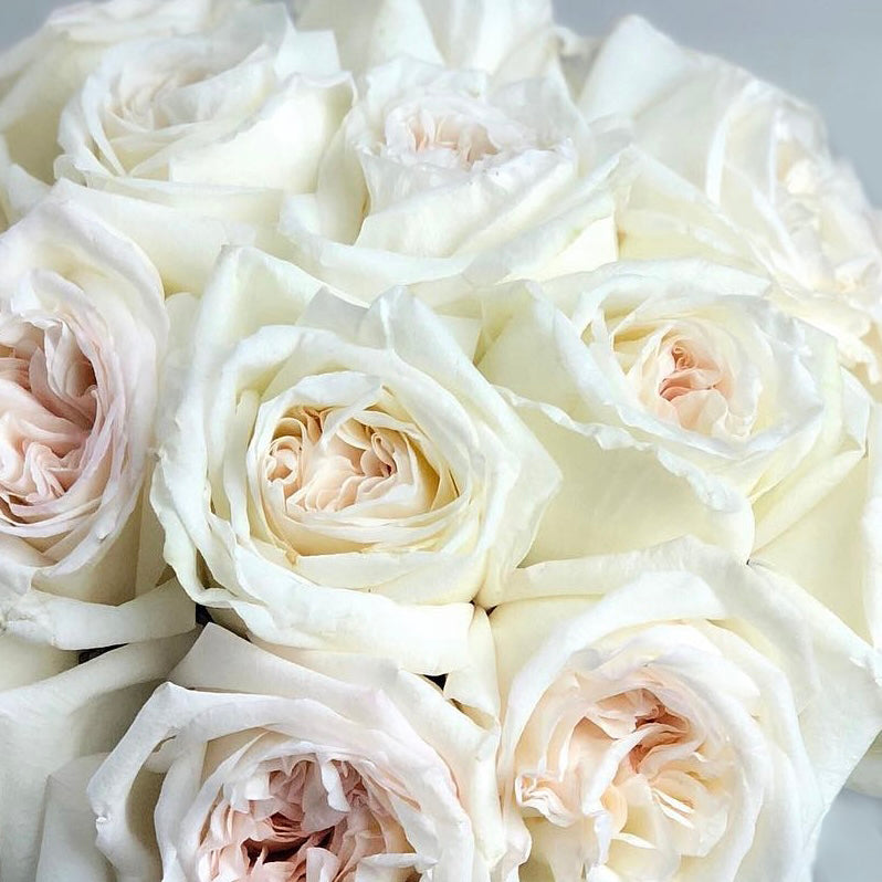 White Roses Flower Box