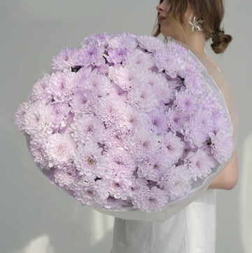 Lavender Dream