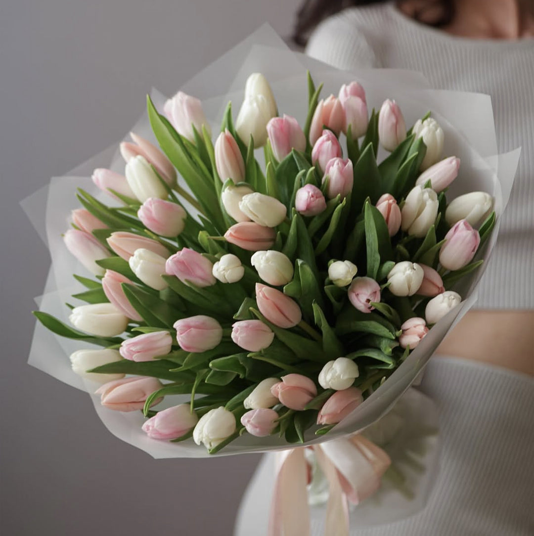Gentle Tulips