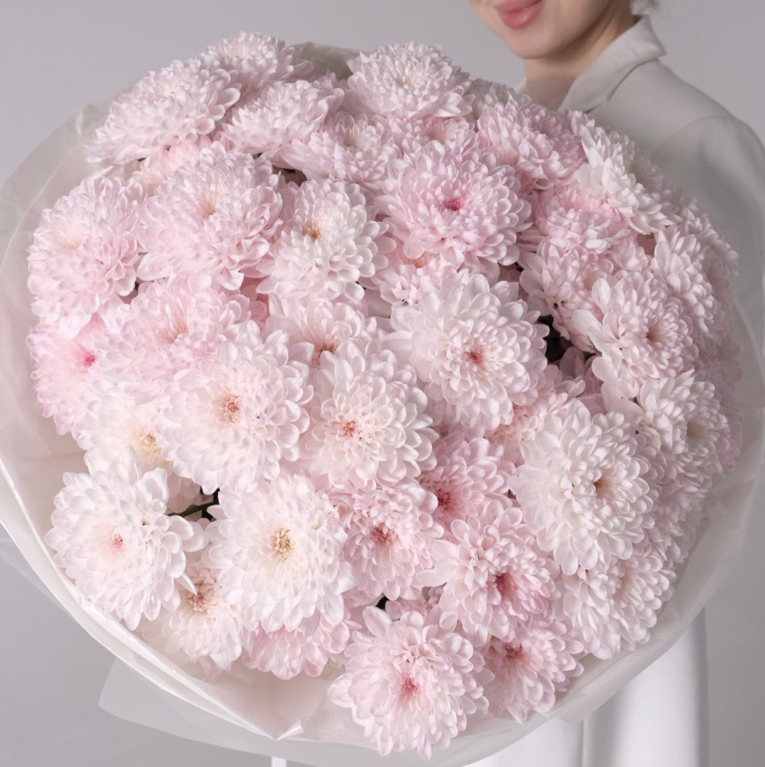 Pink Dream