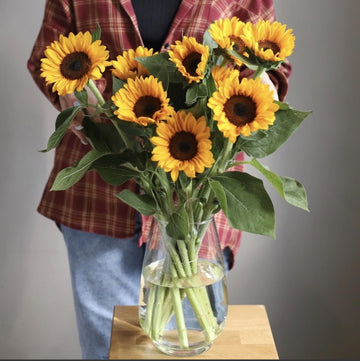 Sunflowers in a Vase
