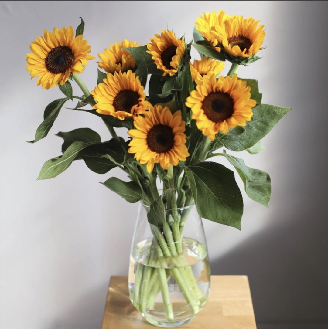 Sunflowers in a Vase